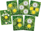 Flora Funga