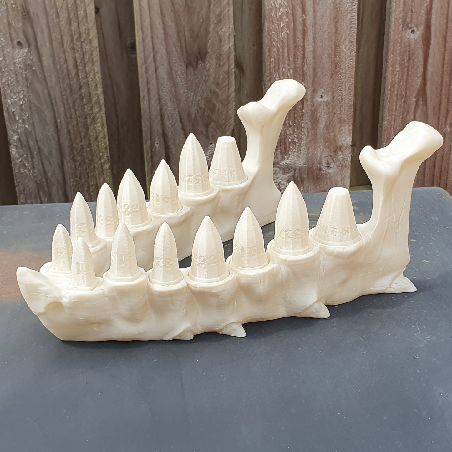 Dragon's Teeth Dice Sets & Jaw Holder