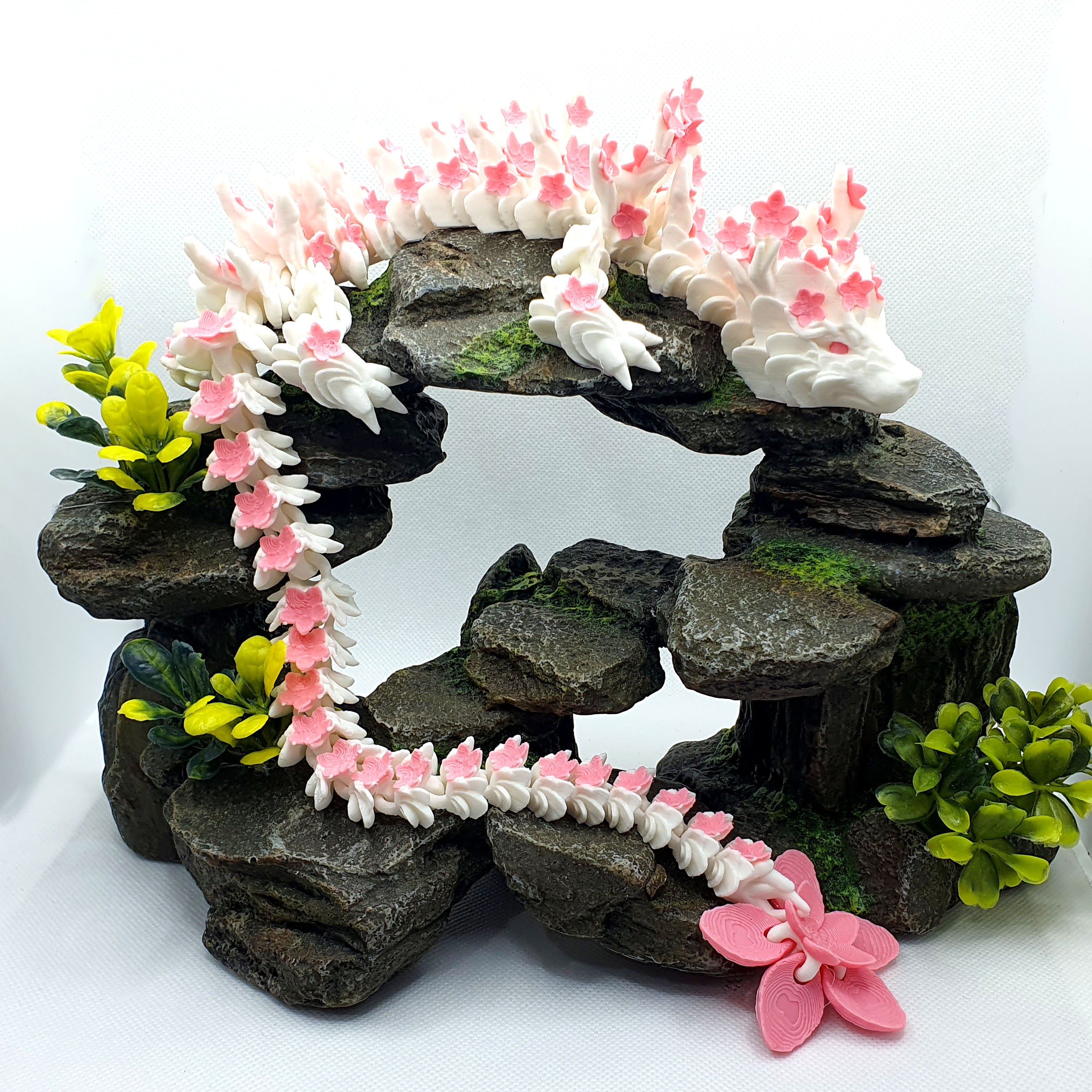 Cherry Blossom Adult Dragon