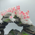 Cherry Blossom Adult Dragon