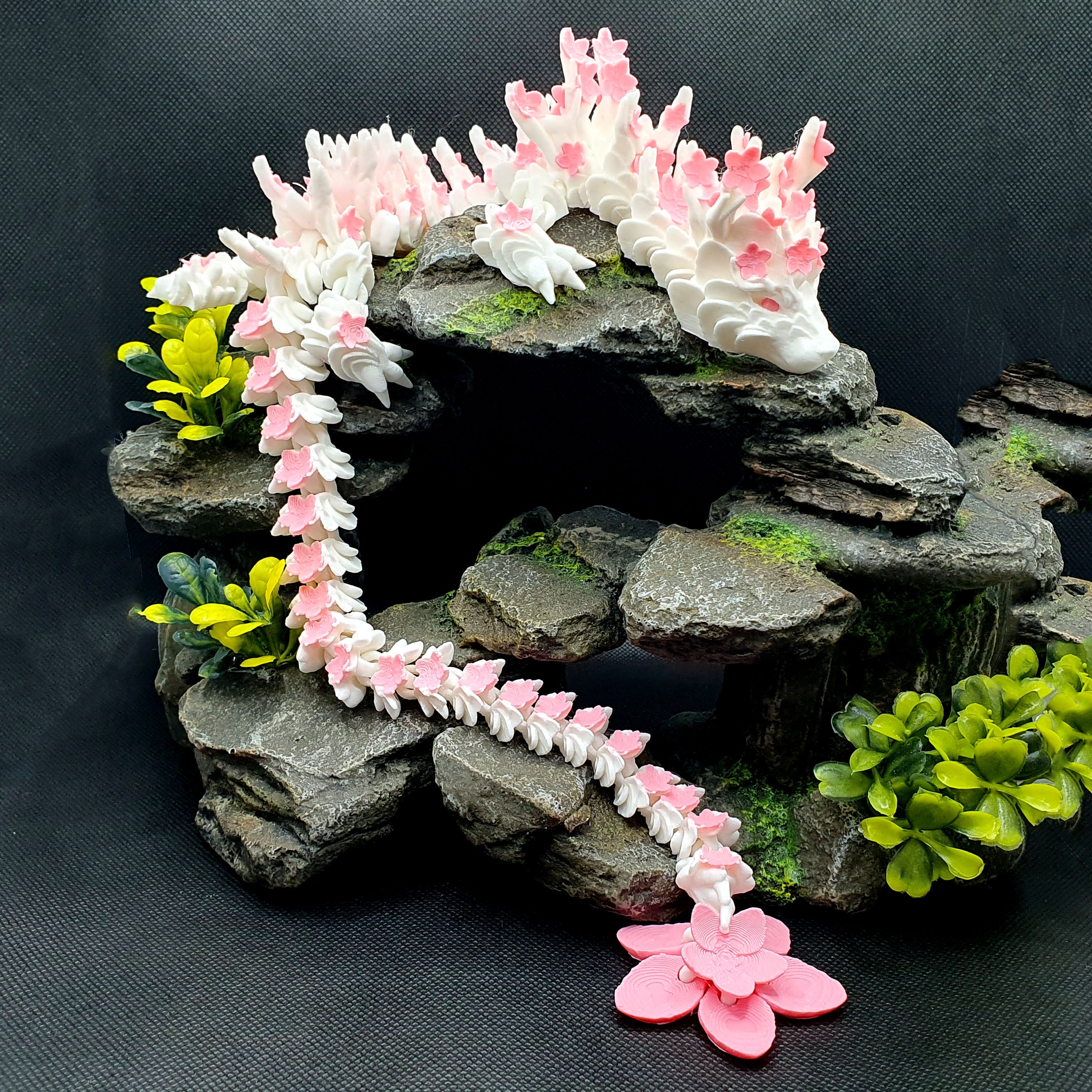 Cherry Blossom Adult Dragon