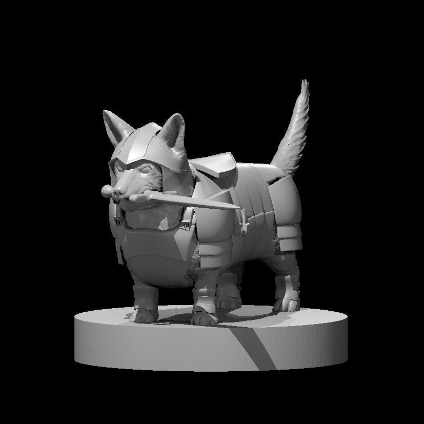 Achilles the Corgi Paladin 28mm Scale Miniature