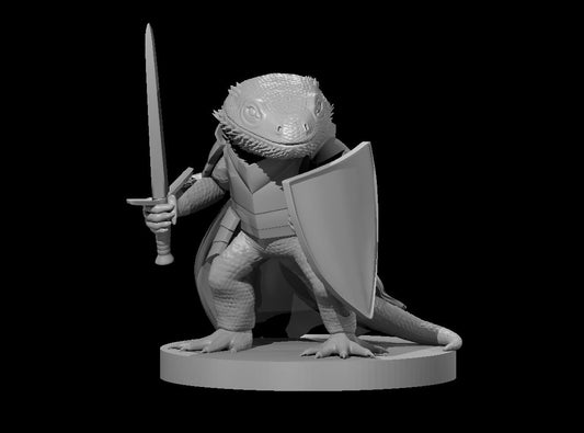 Bearded Dragonborn Fighter 28mm Scale Miniature
