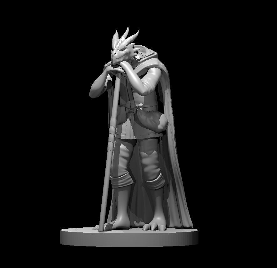 Dragonborn Druid Leaning on Staff - 28mm Scale Miniature