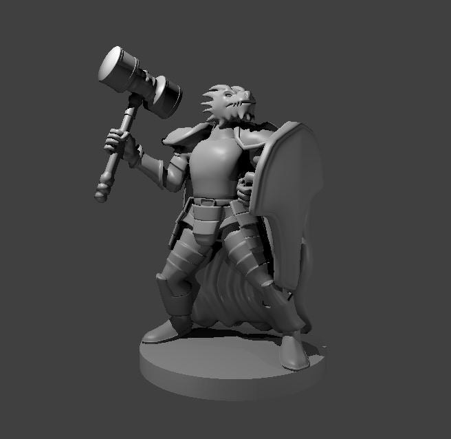 Dragonborn Fighter with Hammer and Shield - 28mm Scale Miniature