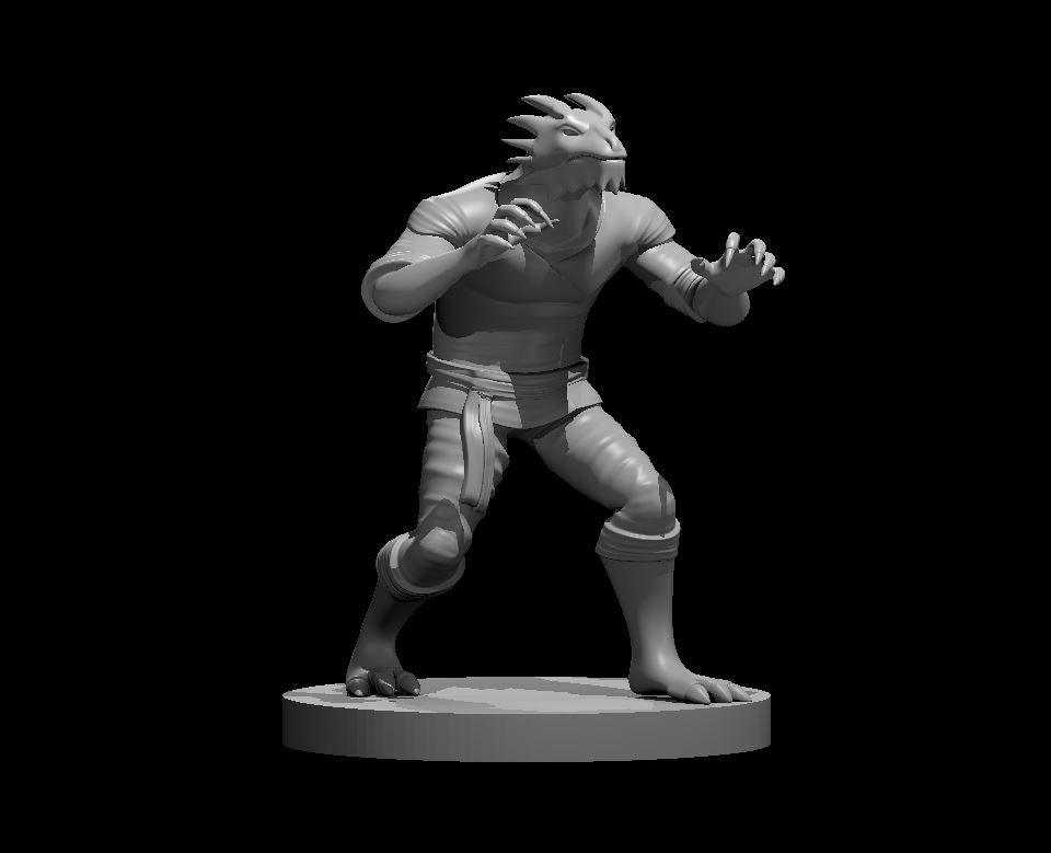 Dragonborn male Monk 2 - 28mm Scale Miniature