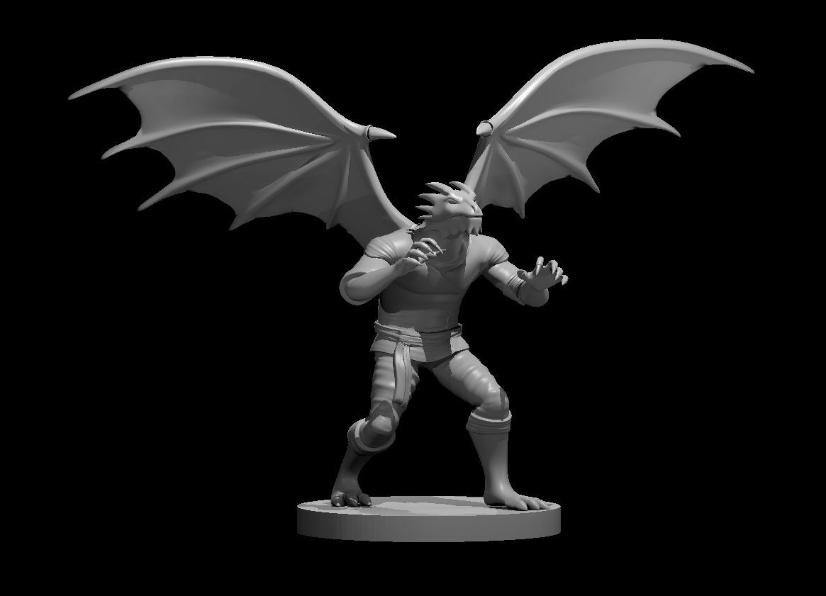 Dragonborn male Monk 2 with wings - 28mm Scale Miniature