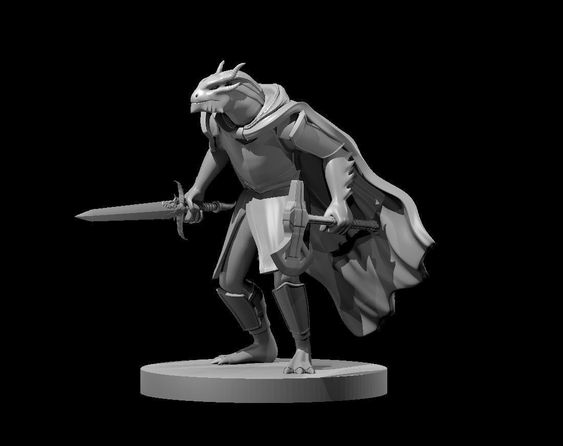 Dragonborn Two Weapon Fighter - 28mm Scale Miniature