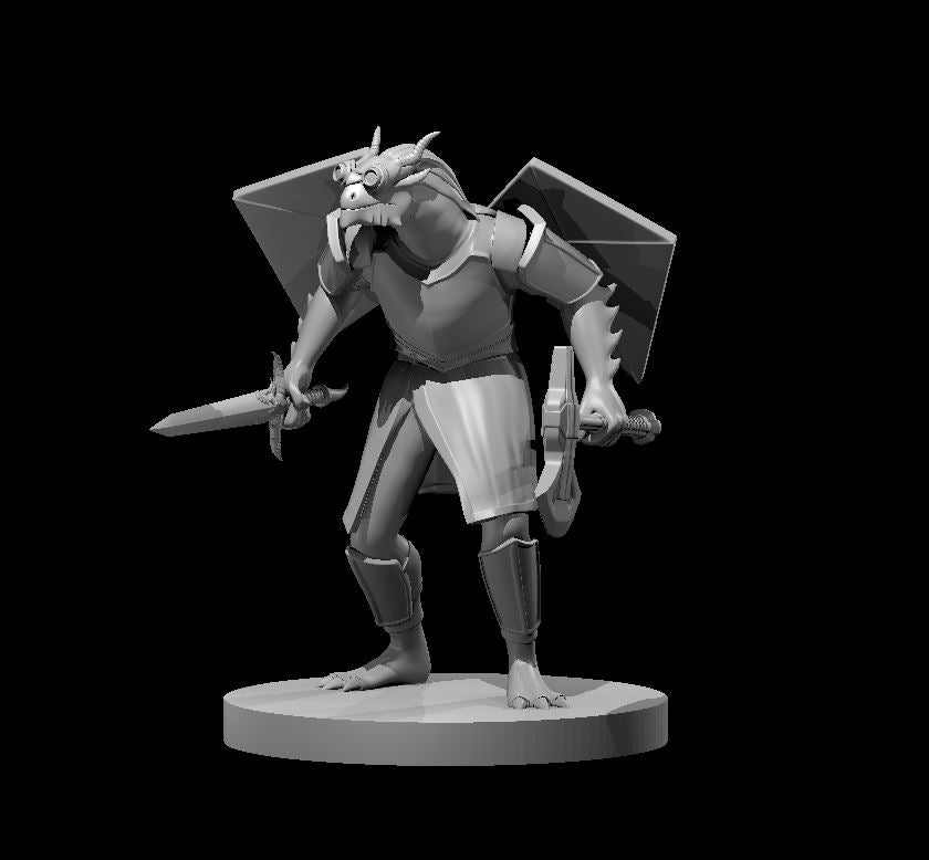 Dragonborn Two Weapon Fighter with Kite Wings - 28mm Scale Miniature