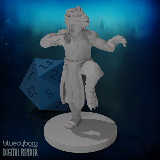 Dragonborn male Monk 28mm Scale Miniature