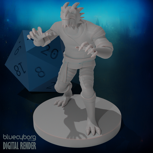 Dragonborn male Monk 2 28mm Scale Miniature