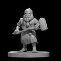 Dwarf Male Druid w/Warhammer 28mm Scale Miniature