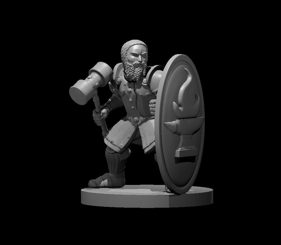 Dwarf Fighter w Tower Shield n Hammer - 28mm Scale Miniature