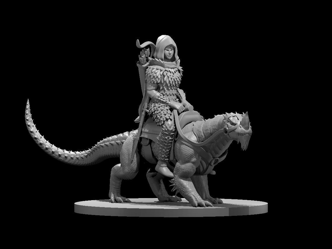 Elf Female Drake Warden Ranger with Drake Mount & Scale Armor - 28mm Scale Miniature