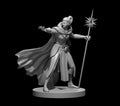 Elf Female Druid 6 Circle of Stars - 28mm Scale Miniature