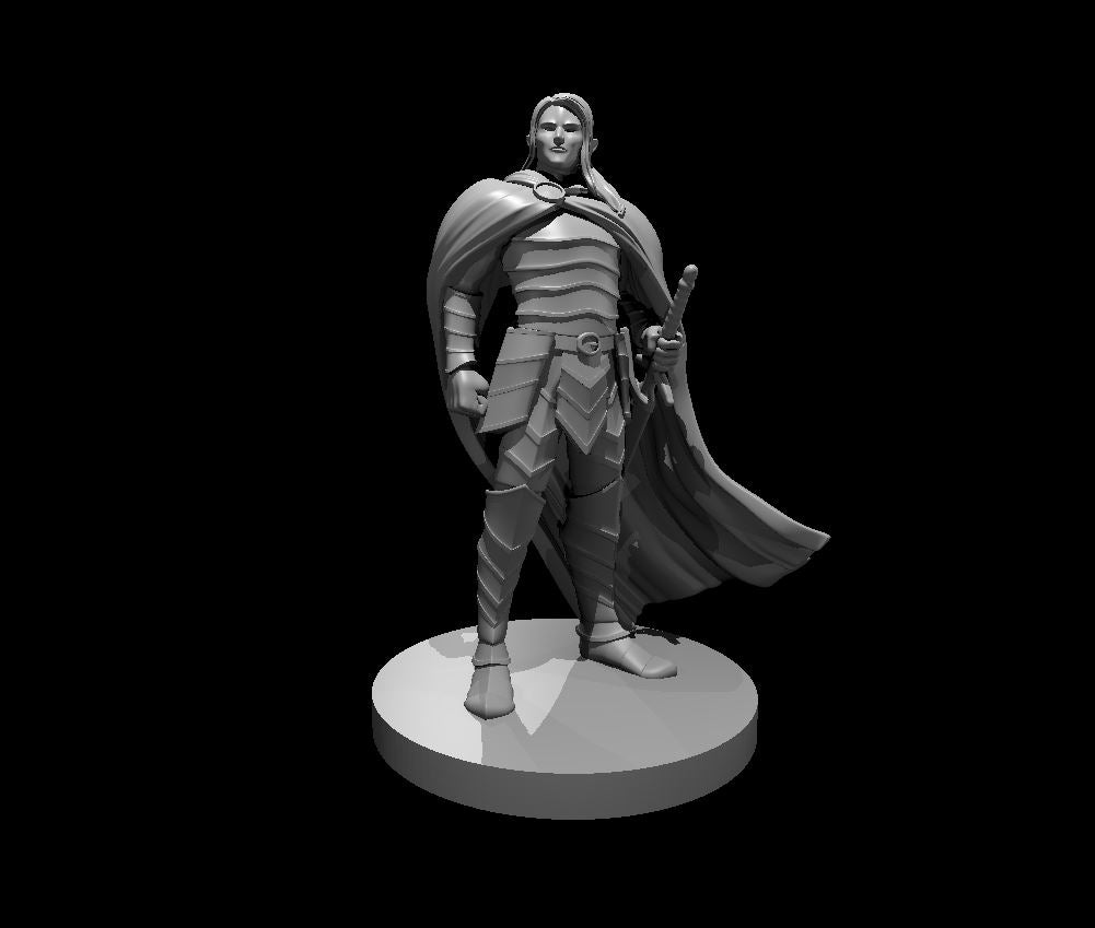 Elven Male Paladin - 28mm Scale Miniature