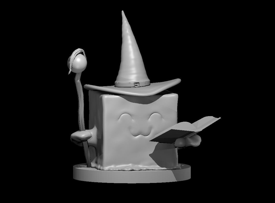 Gelatinous Cube Wizard Adventurer 28mm Scale Miniature