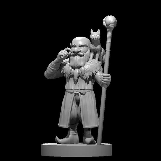 Gnome Male Warlock of the Fiend 28mm Scale Miniature