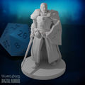 Human Male Light Cleric with Sword and Shield 28mm Scale Miniature
