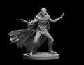 Human Male Rogue 6 28mm Scale Miniature