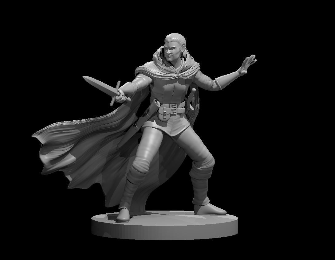 Human Male Rogue 6 28mm Scale Miniature