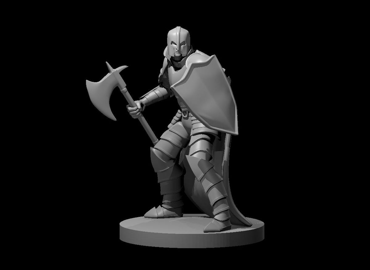 Human Male Fighter Axe and Shield - 28mm Scale Miniature