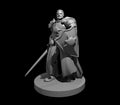 Human Male Light Cleric with Sword and Shield - 28mm Scale Miniature