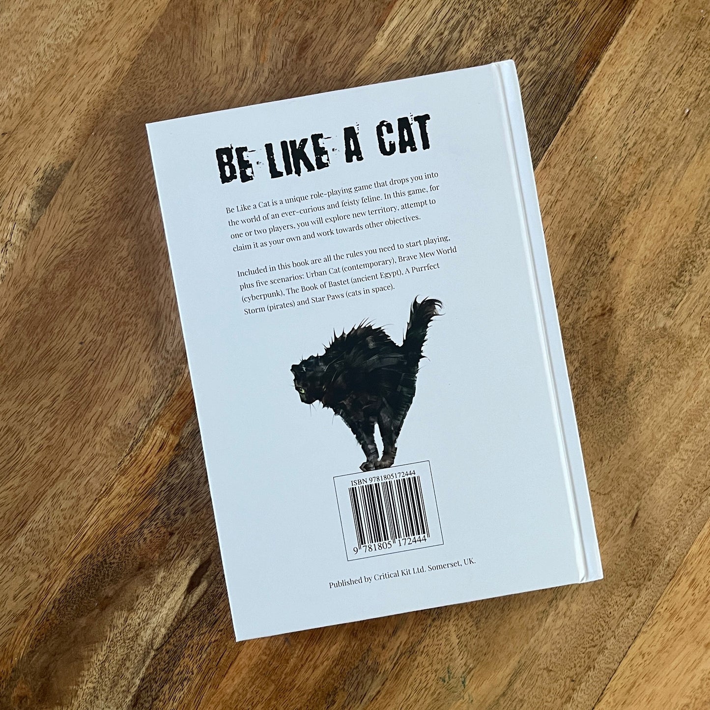 Be Like a Cat, a solo/two player RPG, Rulebook