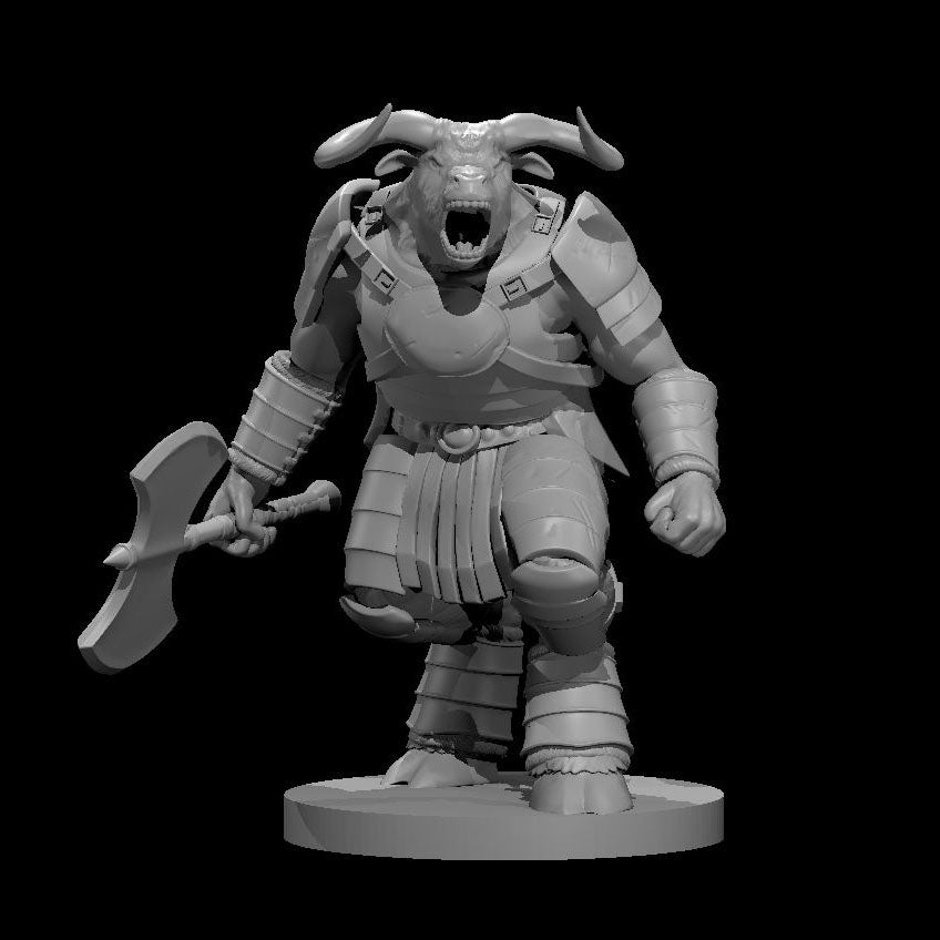 Minotaur Fighter 28mm Scale Miniature