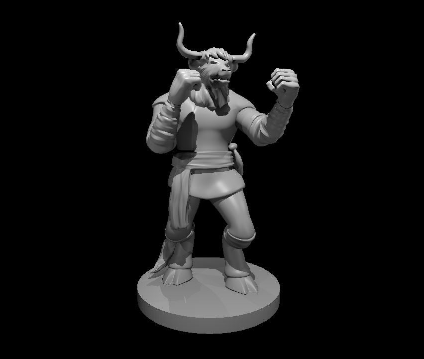 Minotaur Monk - 28mm Scale Miniature