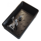 Model Tray: PaintPal Travel Module