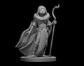 Owlfolk Male Druid - 28mm Scale Miniature