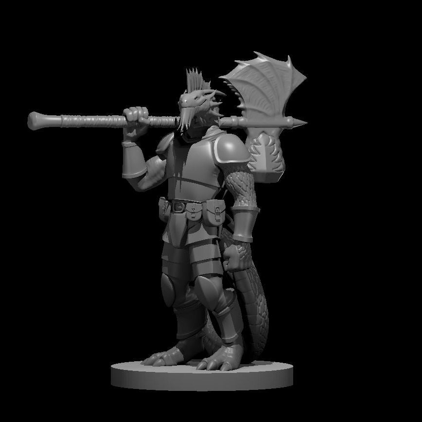Silver Dragonborn War Cleric with Maul Axe Combo 28mm Scale Miniature