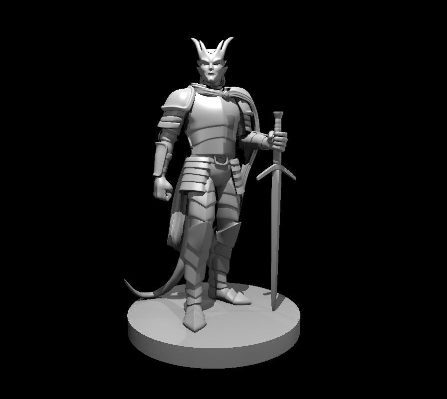 Tiefling Male Paladin 2 - 28mm Scale Miniature