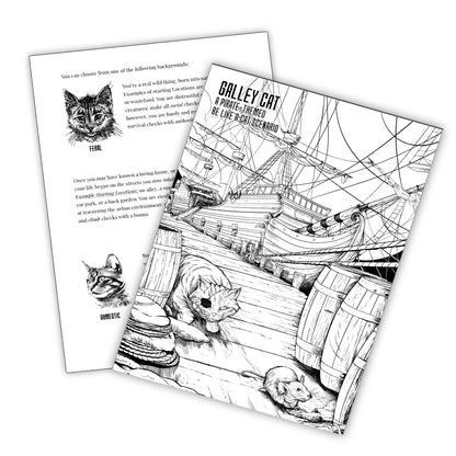 Be Like a Cat, a solo/two player RPG, Rulebook